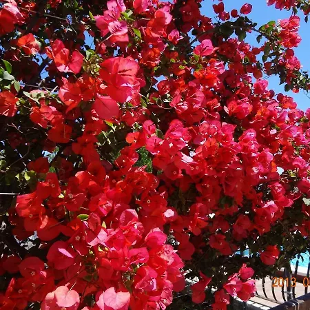 Lucia With Private Pool And A Whirlpool فيلة فيس